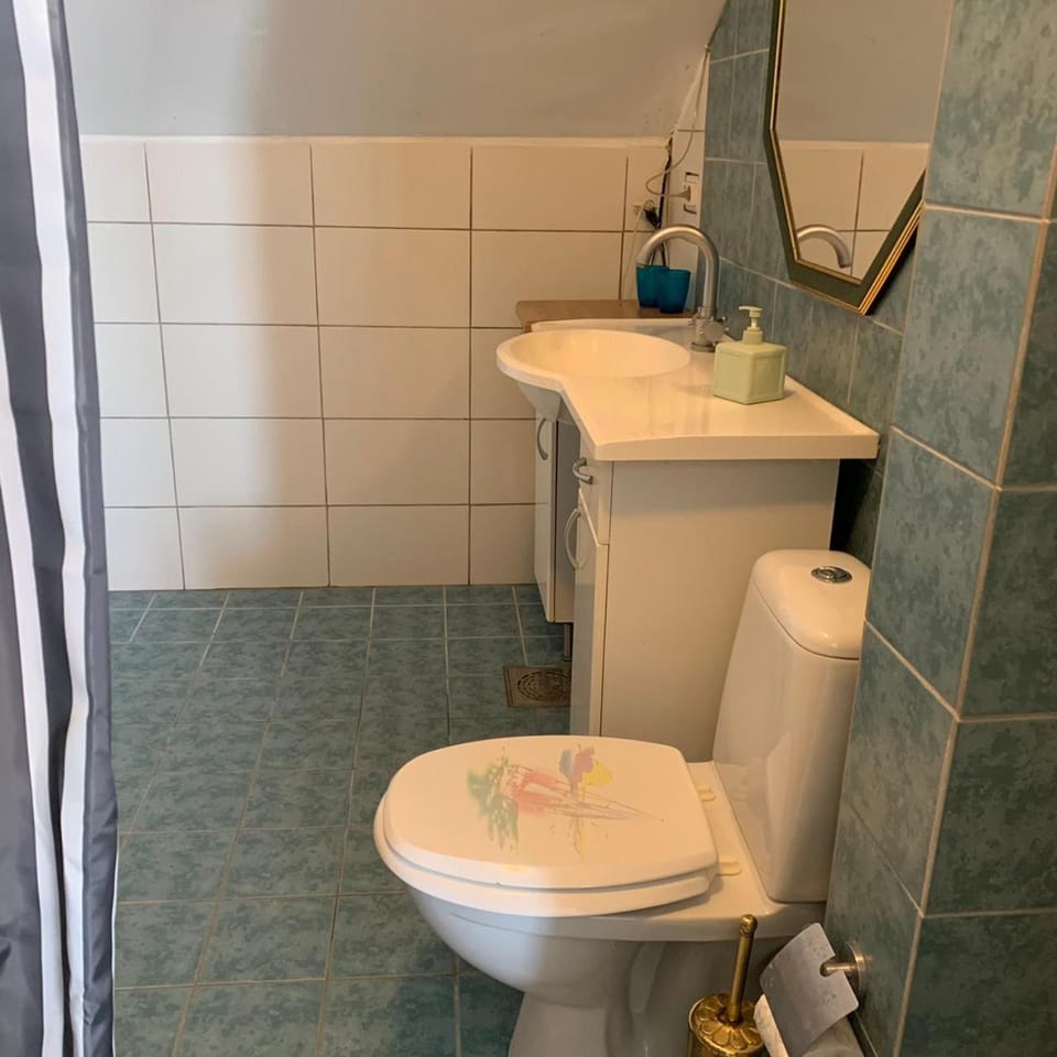 Toilet, Bathroom