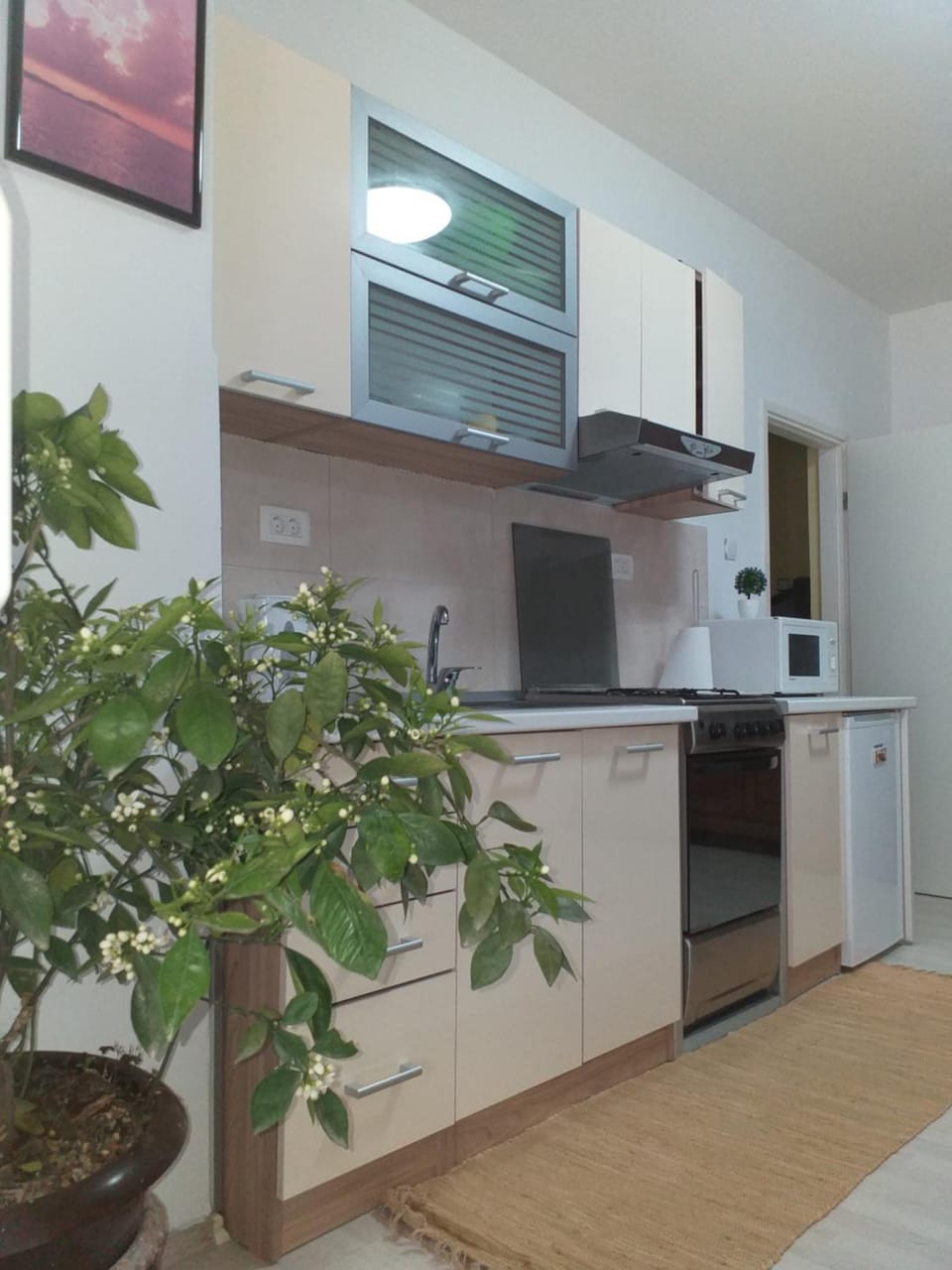 Apartman Mariza Apartment in Zadar