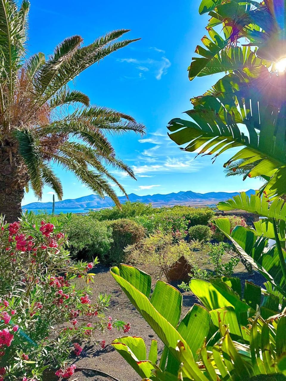 Day, Natural landscape, Garden, Garden view, Sea view