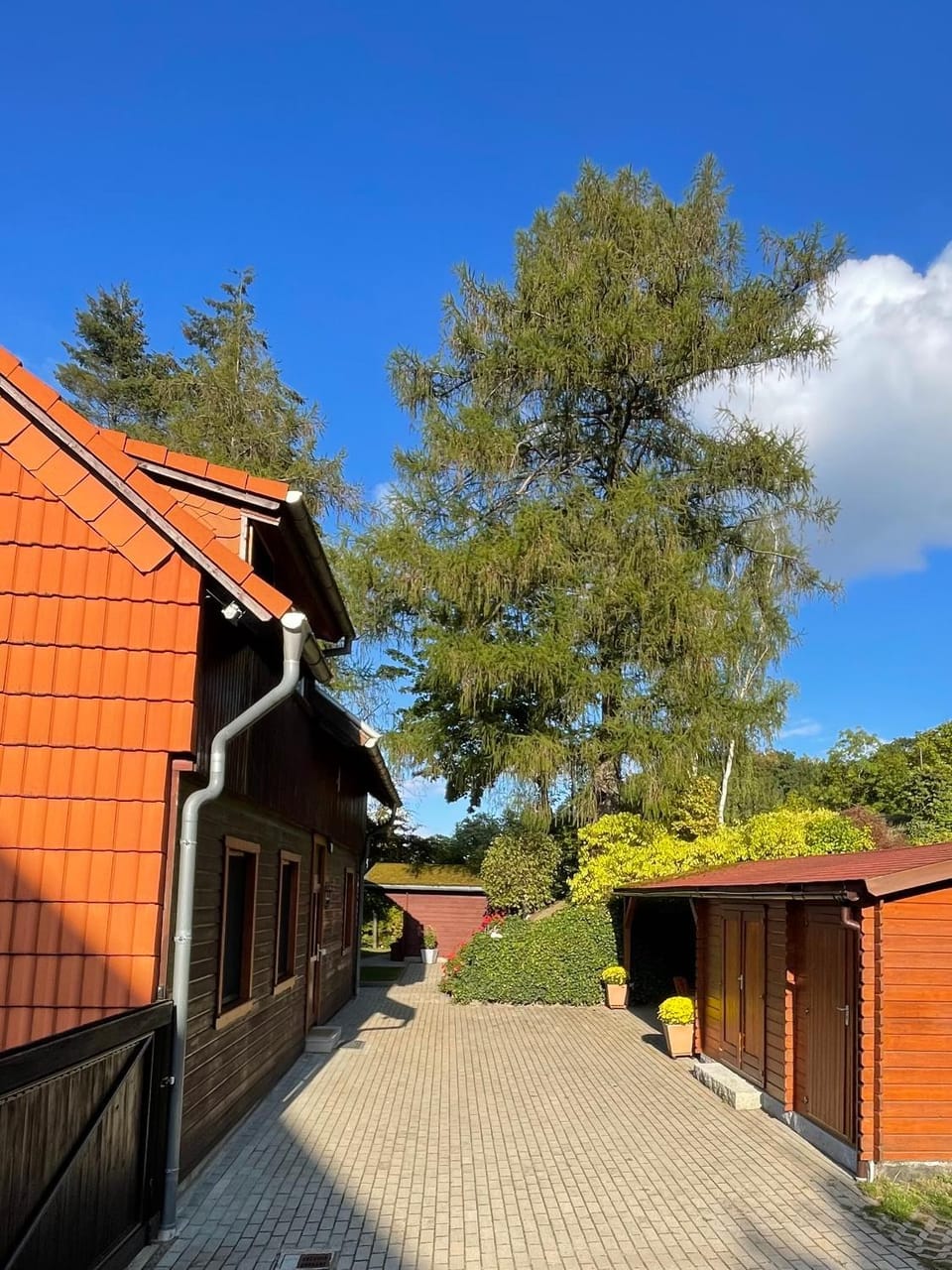 Property building, Patio