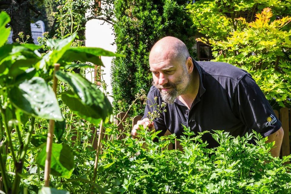 People, Garden view
