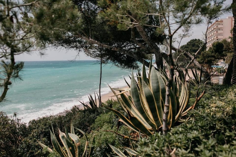Casa Agata Apartment in Miami Platja