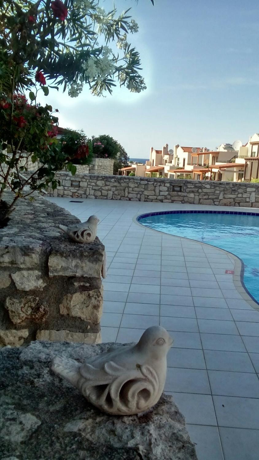 Pool view