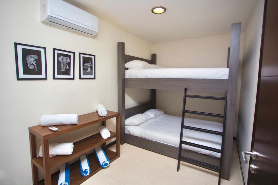 Bed, Photo of the whole room, bunk bed