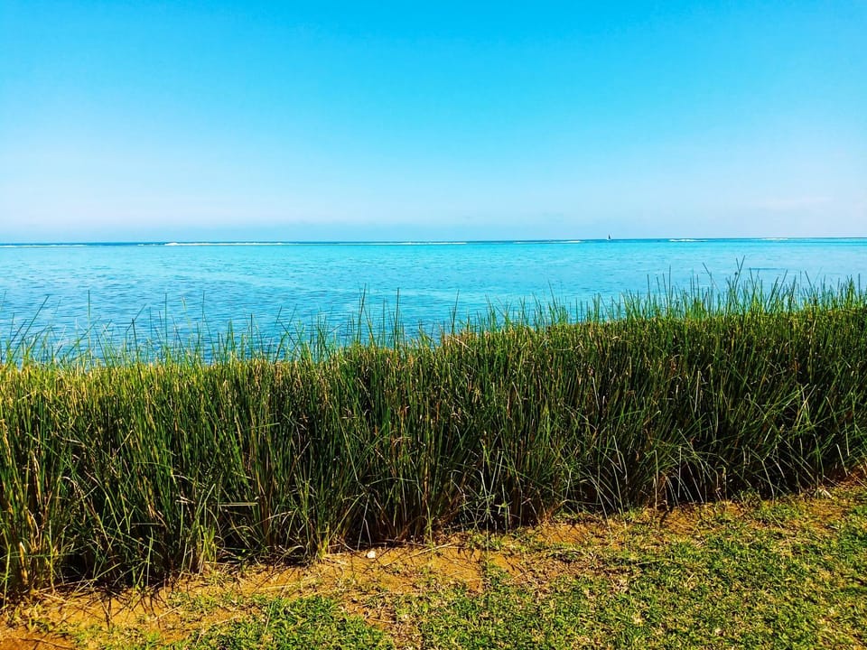 Day, Natural landscape, Sea view