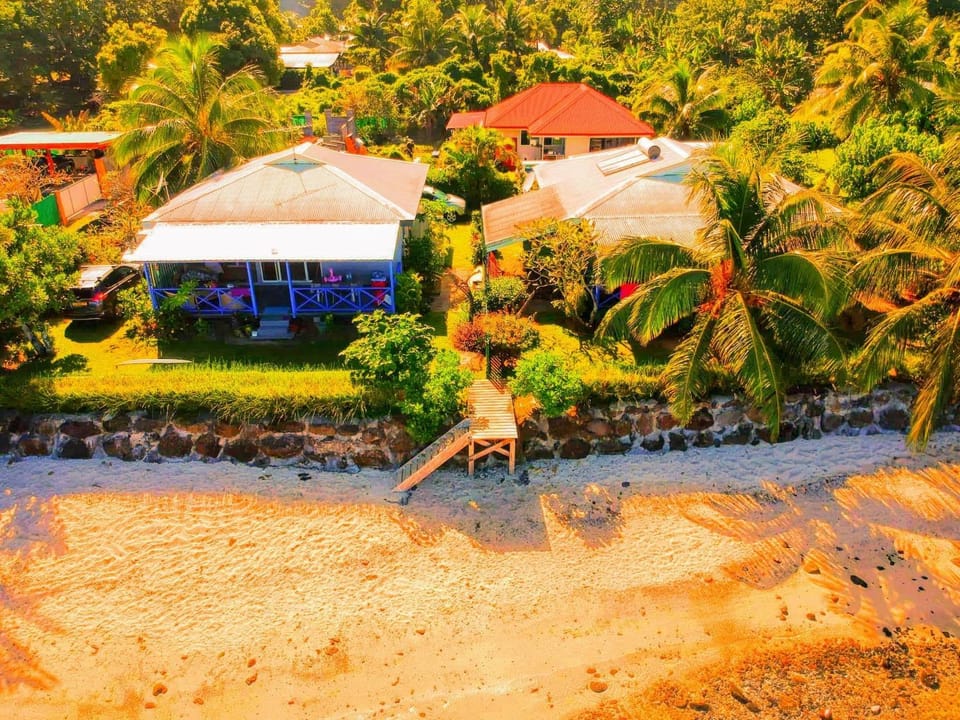 Natural landscape, Garden, Garden view