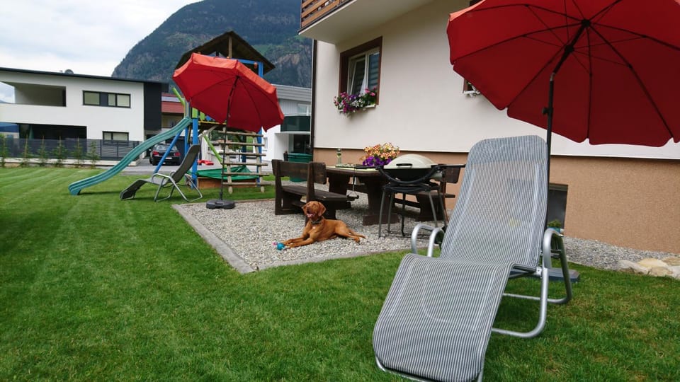 Garden, Pets, Entertainment