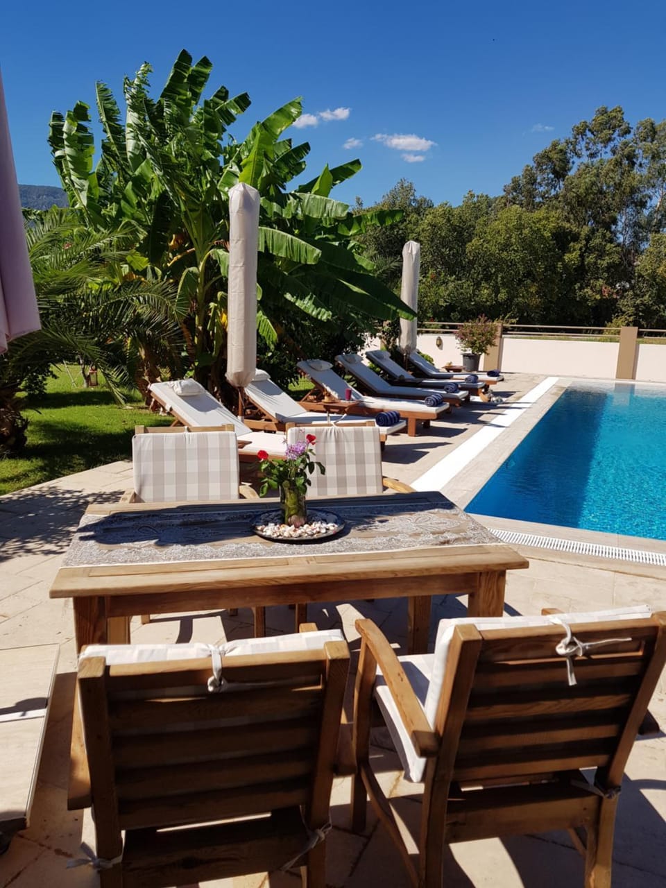 Garden, Garden view, Pool view