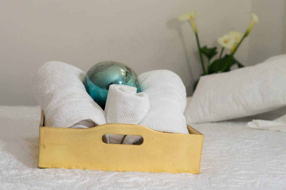 Suite 4B Bazzar, Garden House, Welcome to San Angel Apartment in Mexico City