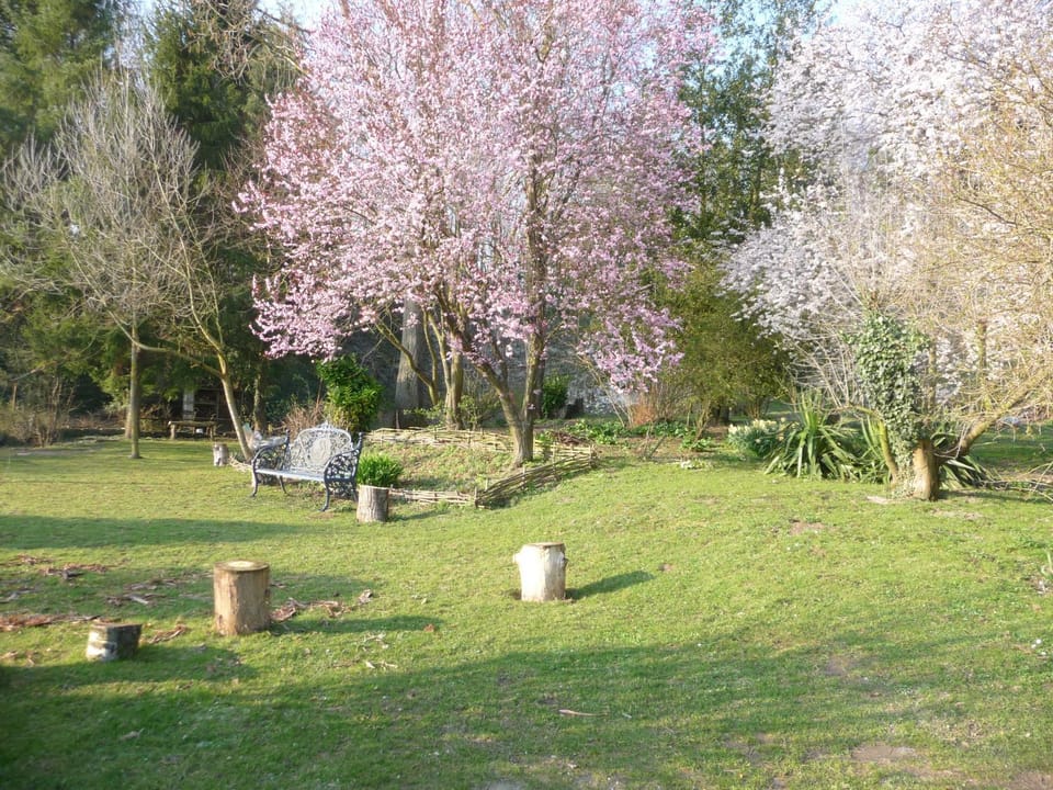 Garden, Garden view