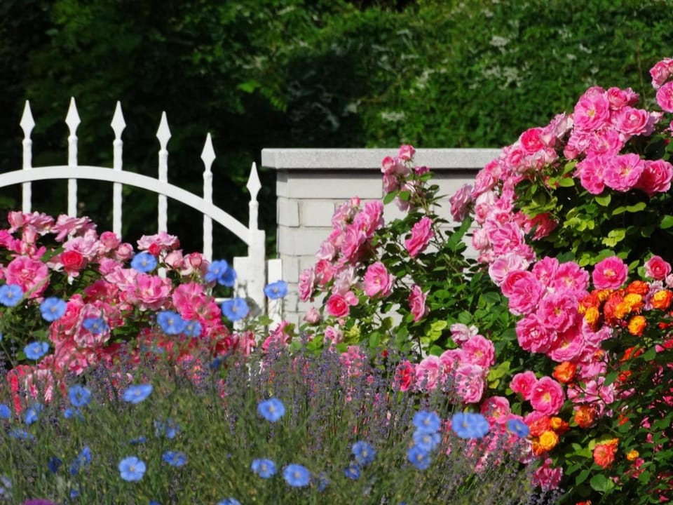 Property building, Spring, Summer, Garden, Decorative detail, On site, Garden view