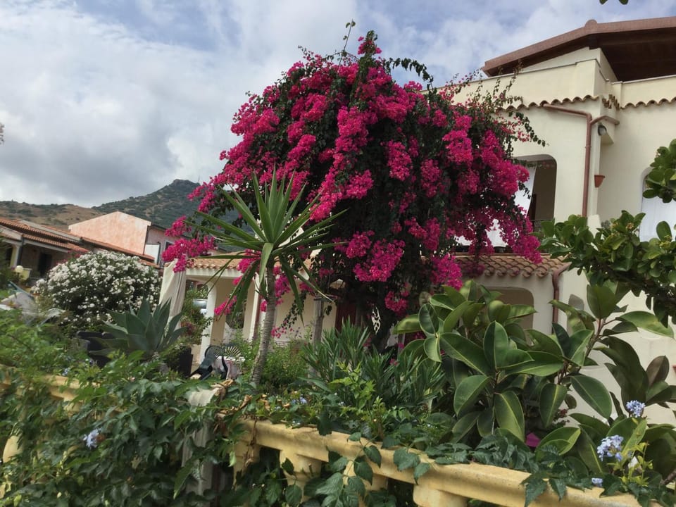 Property building, Garden, Garden view