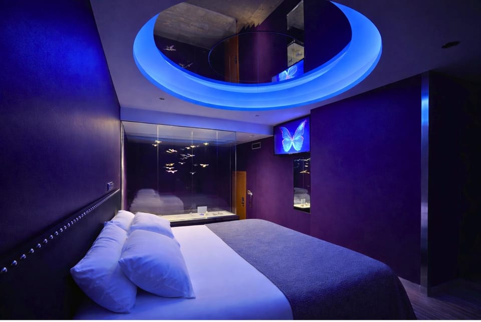 Bed, TV and multimedia, Photo of the whole room, Bedroom