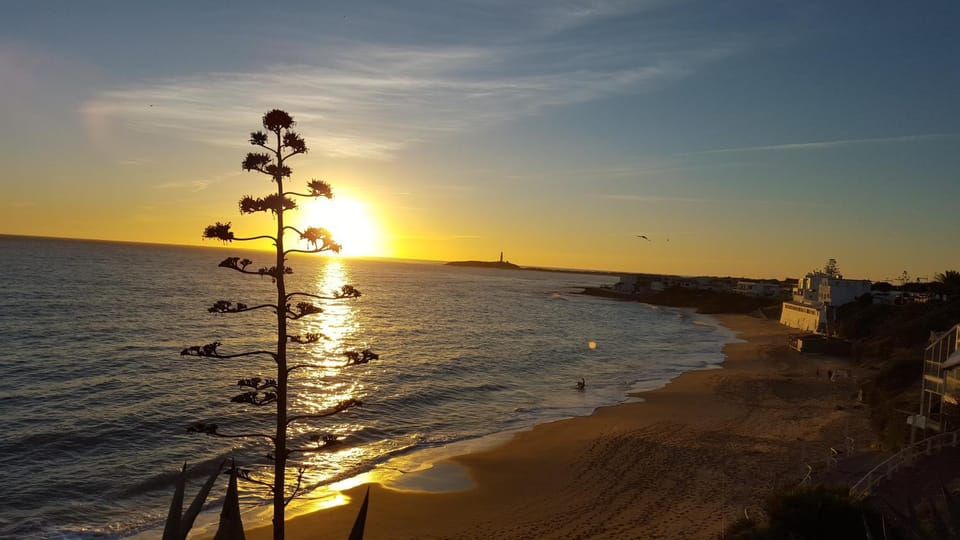 HABITACIONES LOS CAÑOS Bed and Breakfast in La Janda