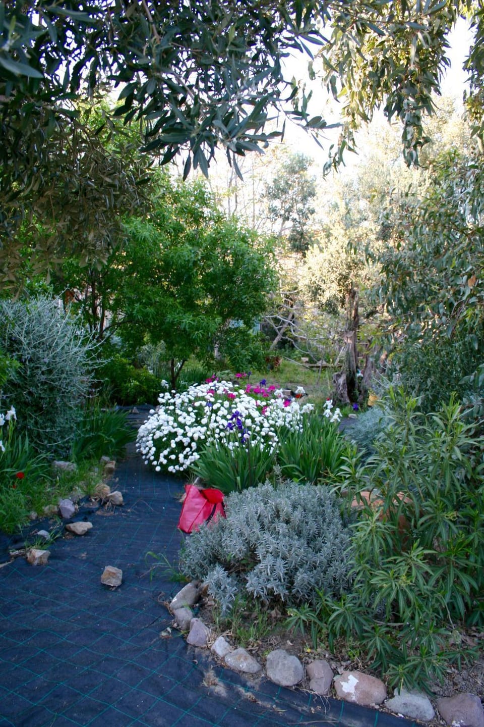 Arcadia Guesthouse Bed and Breakfast in Decentralized Administration of the Aegean