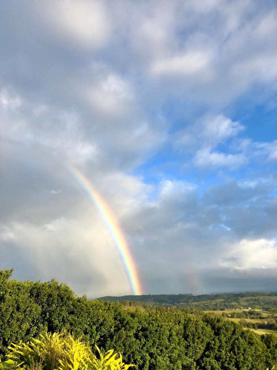Spring, Natural landscape, View (from property/room)