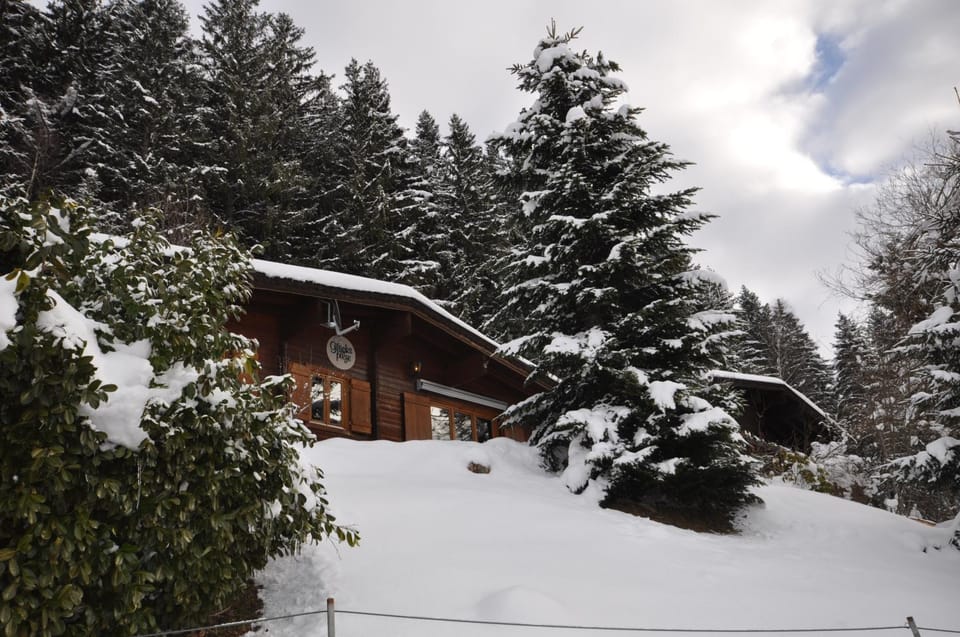 Property building, Winter