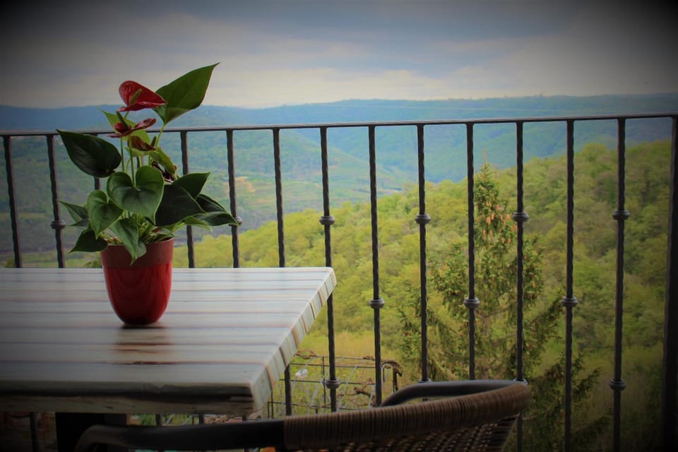 Apartmaji Hrvatin v Kortah Apartment in Istria County