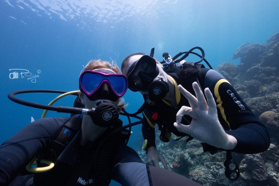 Diving
