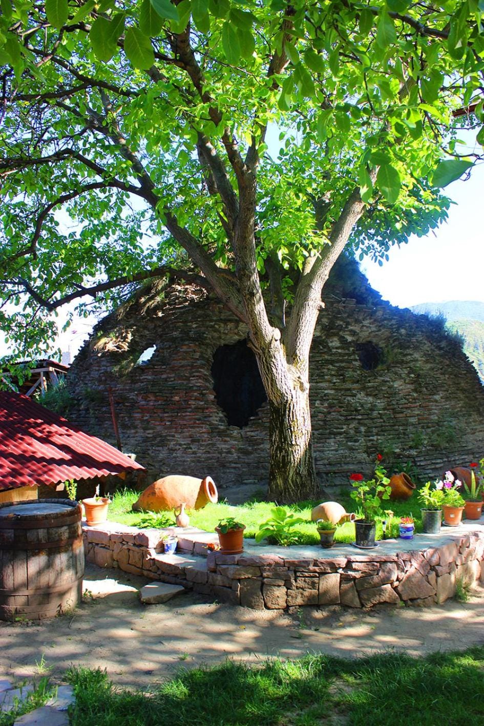 Garden view