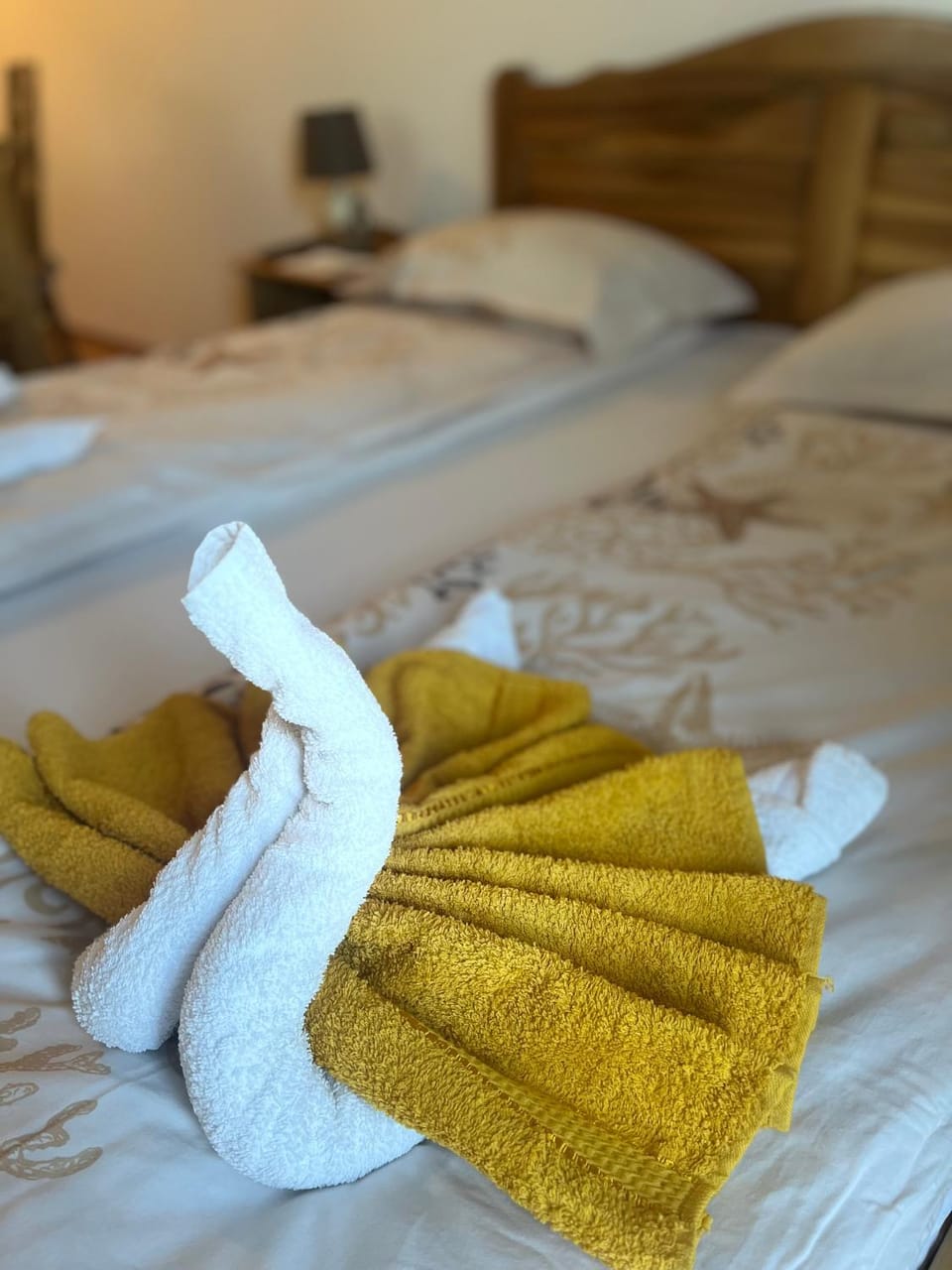 Casa Tibi Bed and Breakfast in Romania