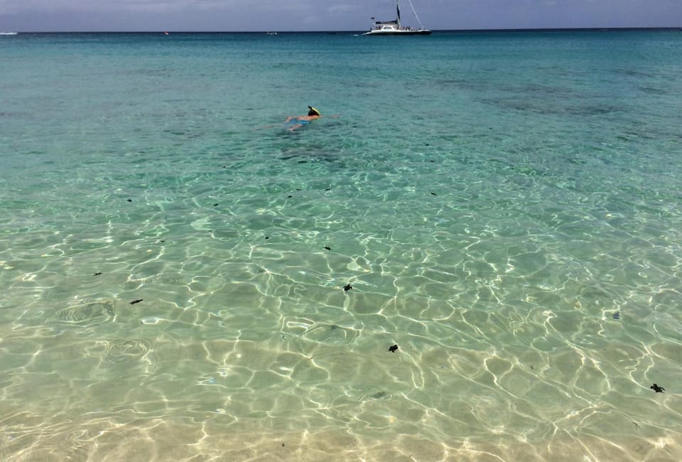 Neighbourhood, Snorkeling, Beach