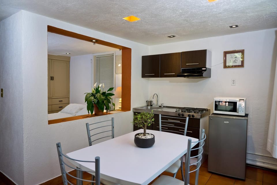 Suite 4A, Terraza, Garden House, Welcome to San Angel Apartment in Mexico City