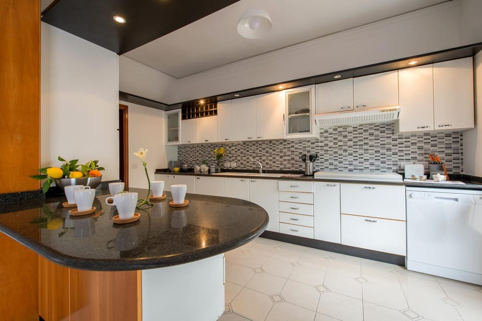 Kitchen or kitchenette, dishwasher, stove