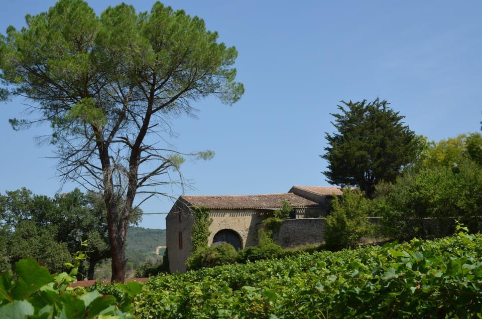 Natural landscape