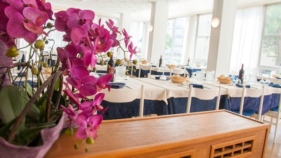 Restaurant/places to eat, Meals