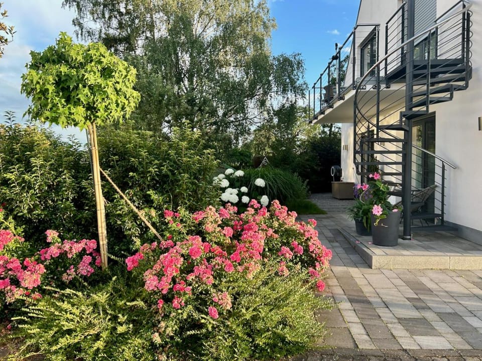Property building, Garden, Garden view