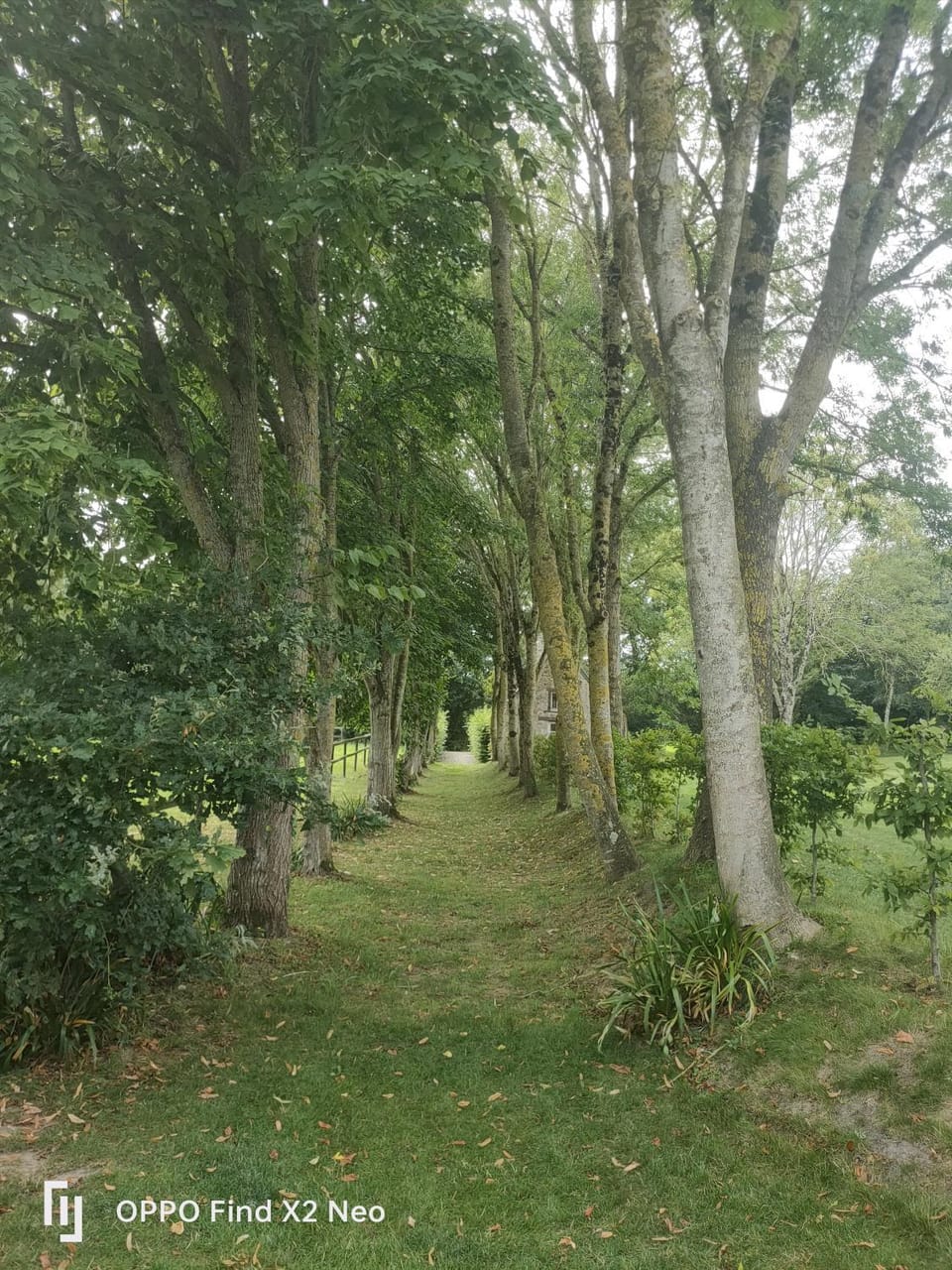 Domaine du Manoir de Vains Bed and Breakfast in Normandy