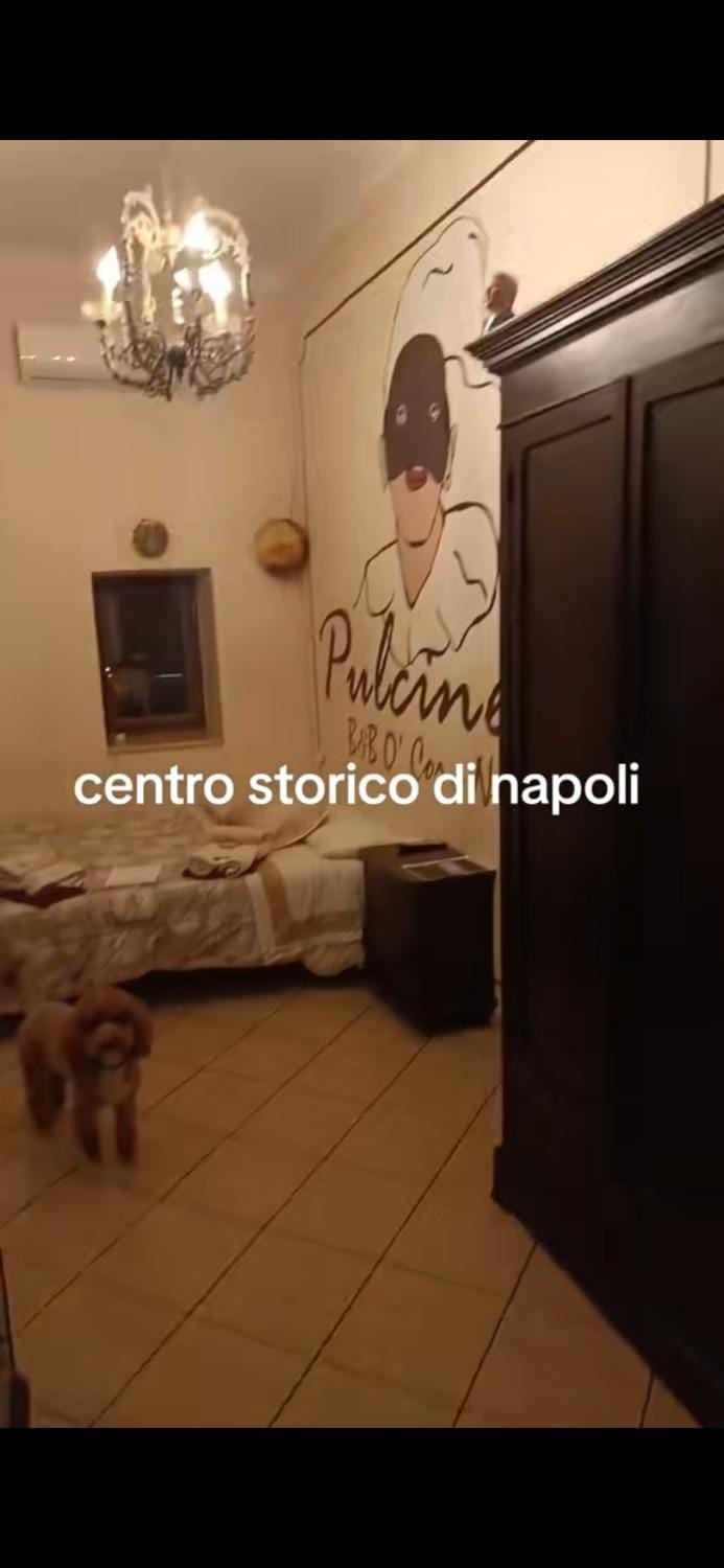 B&B O' Core e Napule Bed and Breakfast in Naples
