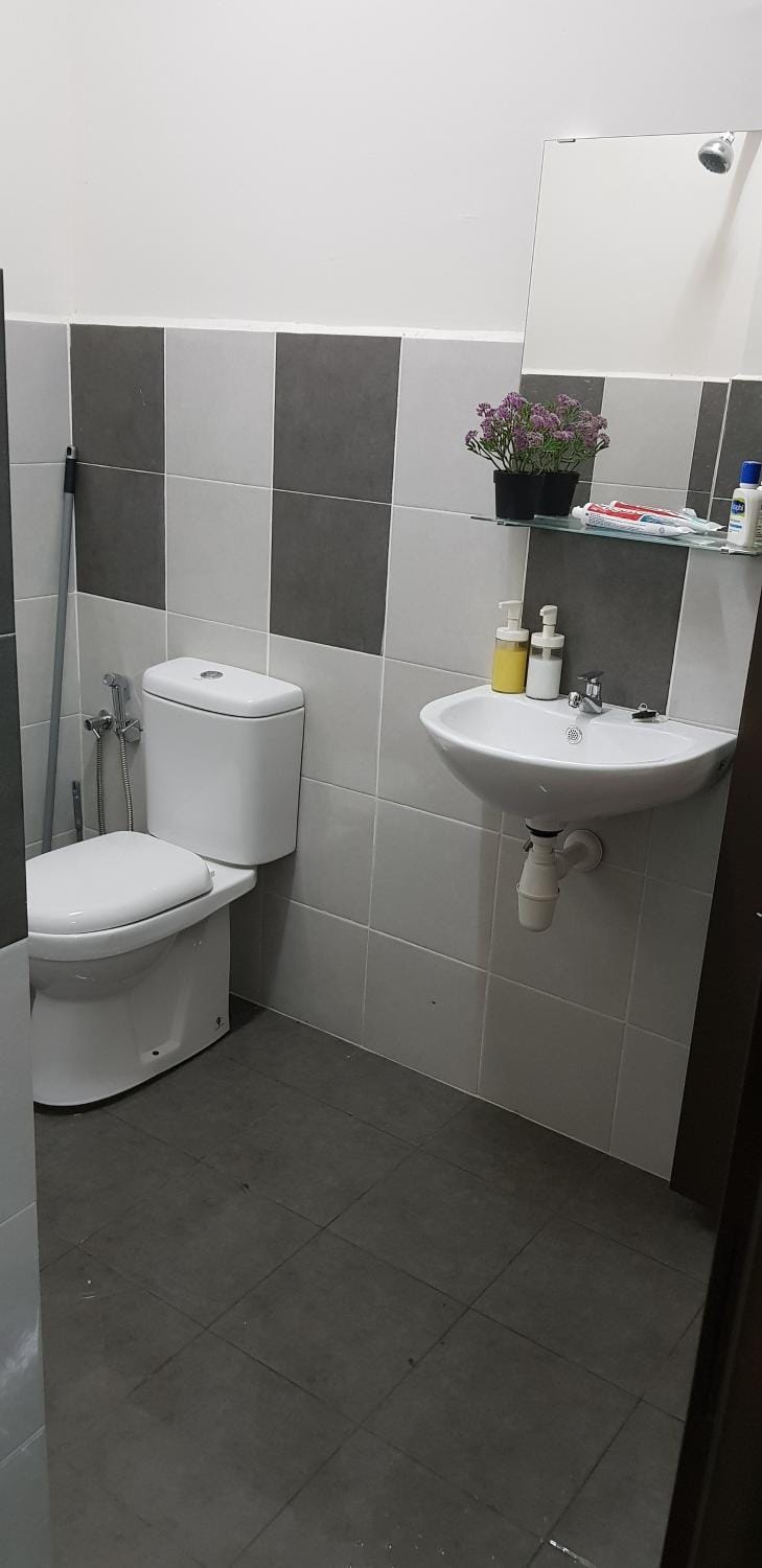 Day, Bathroom, Photo of the whole room, Decorative detail, On site, Seasons