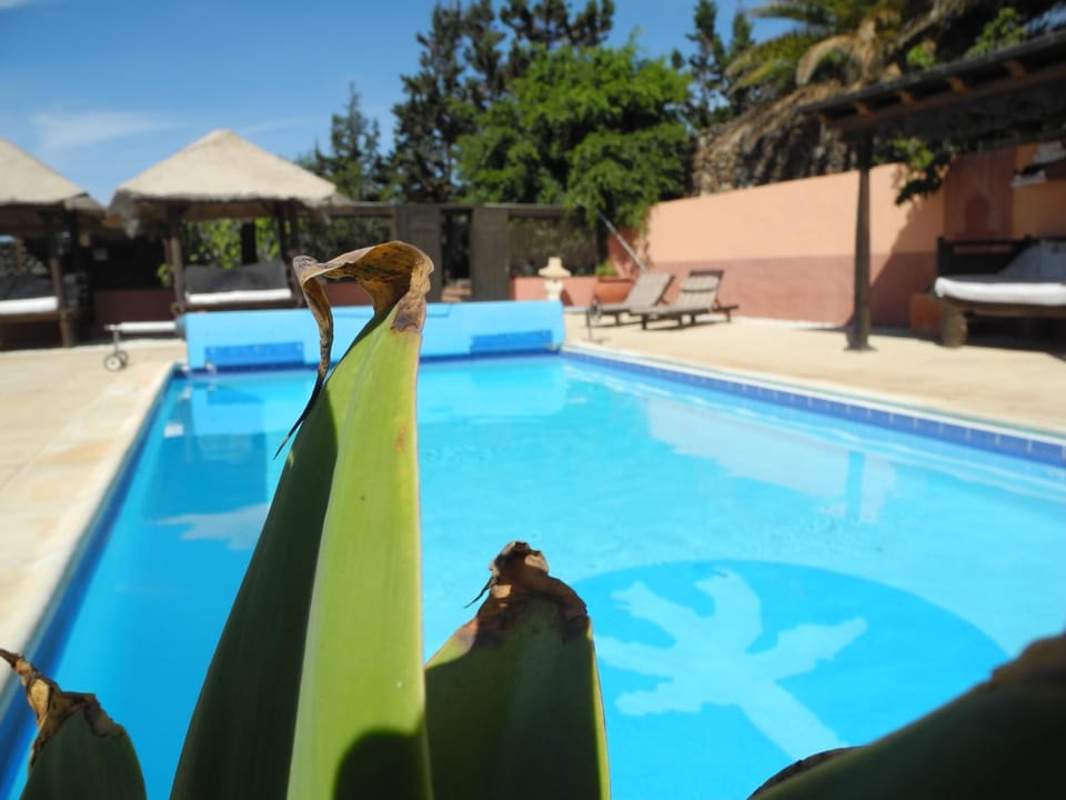 Natural landscape, Swimming pool, Swimming pool