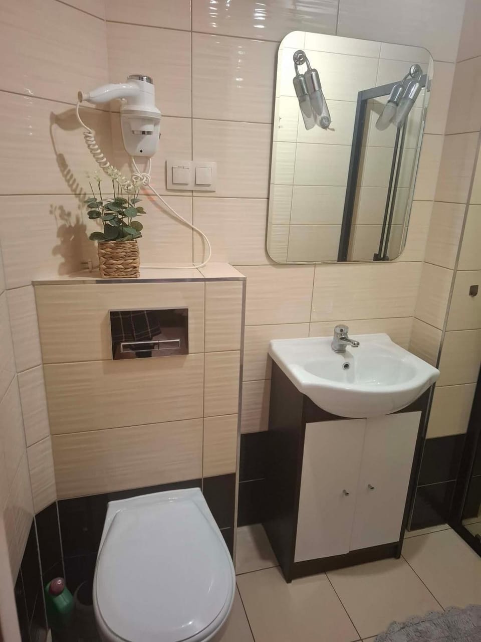Willa Aśka Vacation rental in Lower Silesian Voivodeship