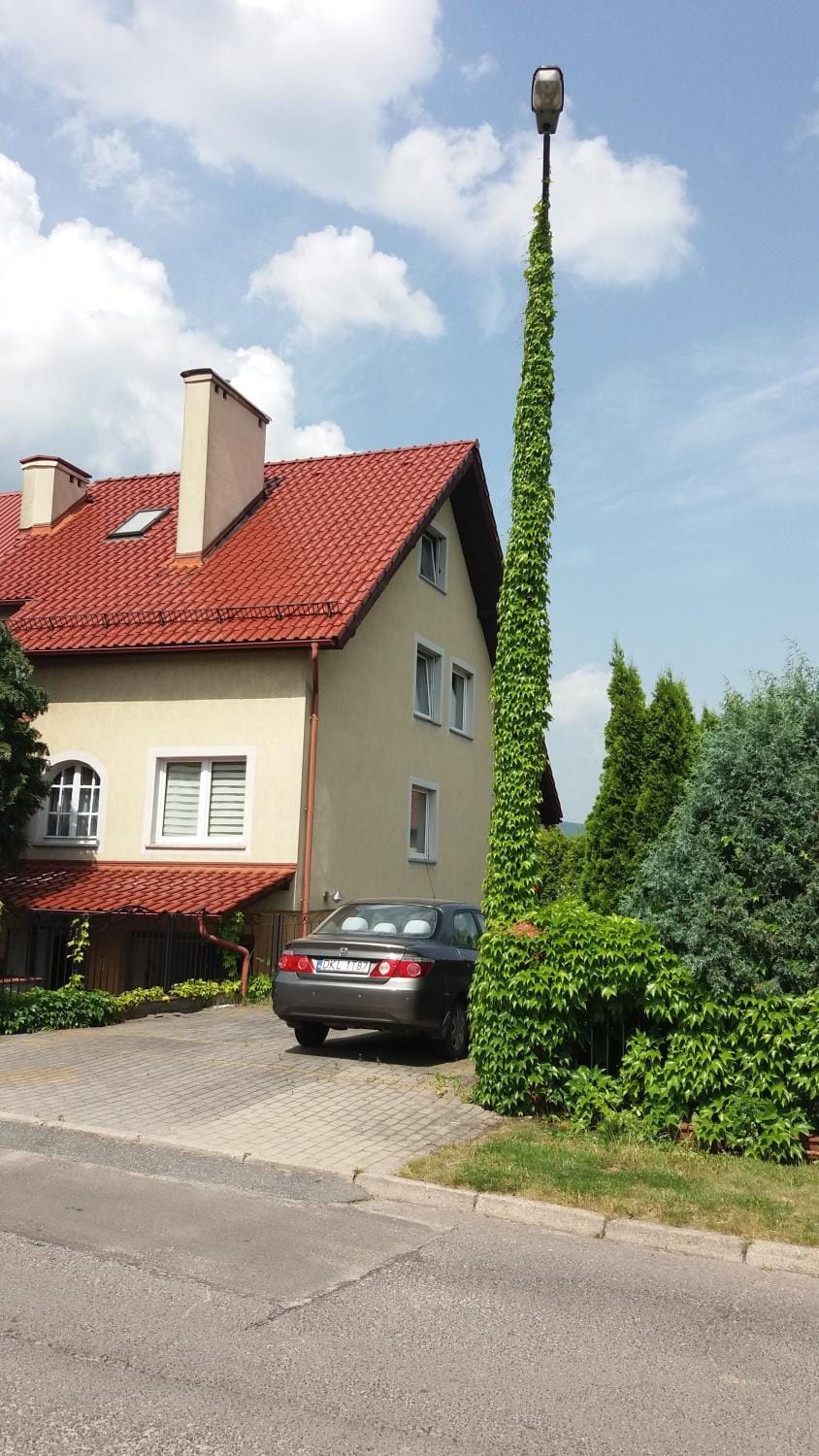 villa Vacation rental in Lower Silesian Voivodeship