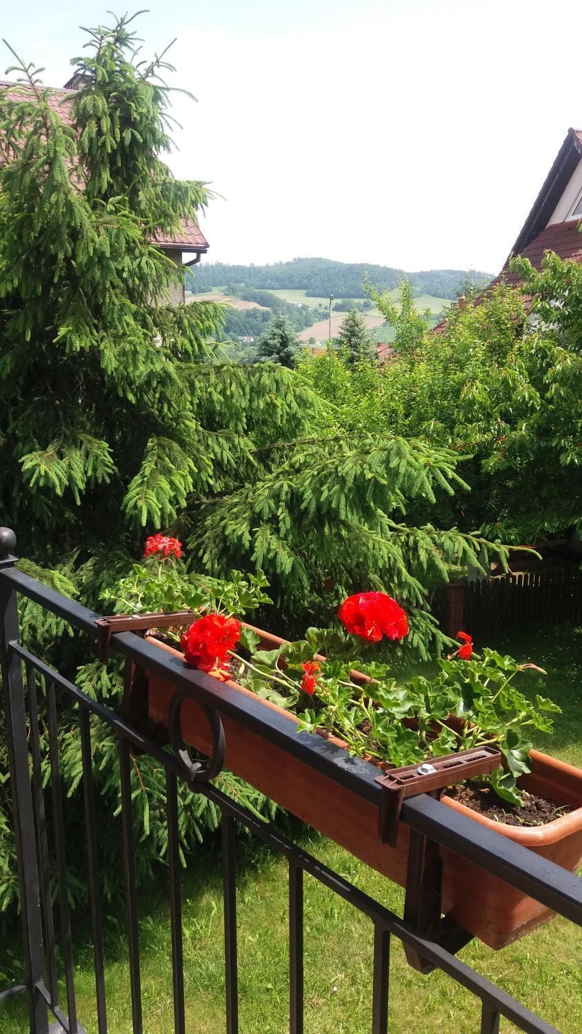 villa Vacation rental in Lower Silesian Voivodeship