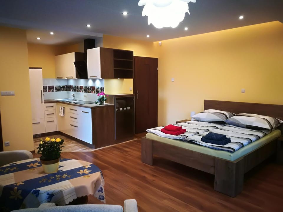 Apartament u Joli Apartment in Lesser Poland Voivodeship