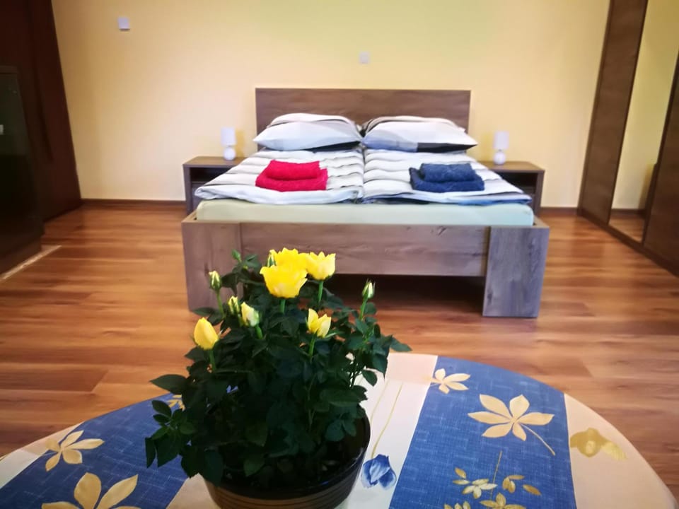 Apartament u Joli Apartment in Lesser Poland Voivodeship