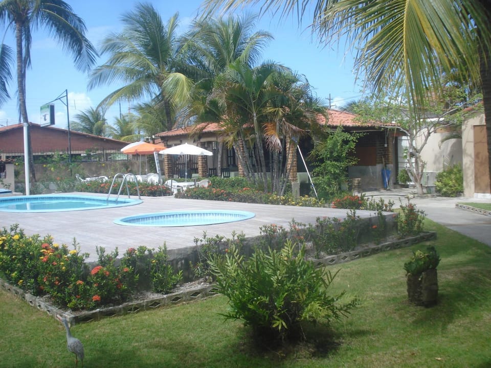 Day, Garden, Swimming pool, Swimming pool
