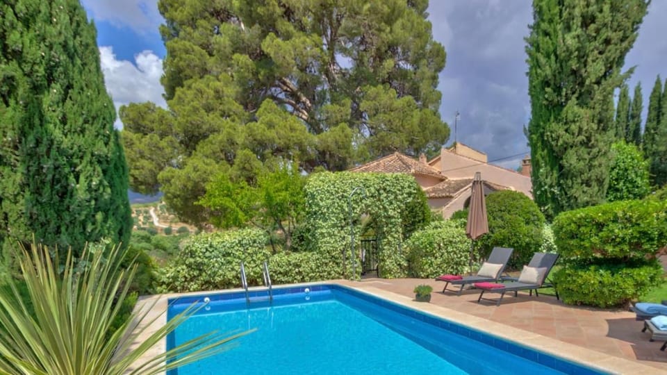 Natural landscape, Garden, Garden view, Swimming pool, sunbed
