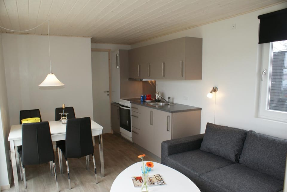 Kitchen or kitchenette, Seating area, Dining area, oven, stove