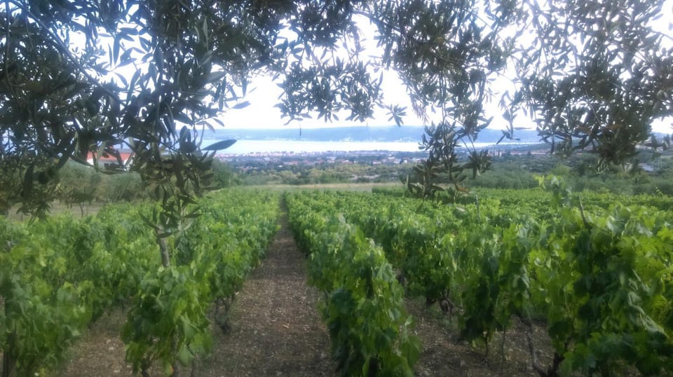 Natural landscape