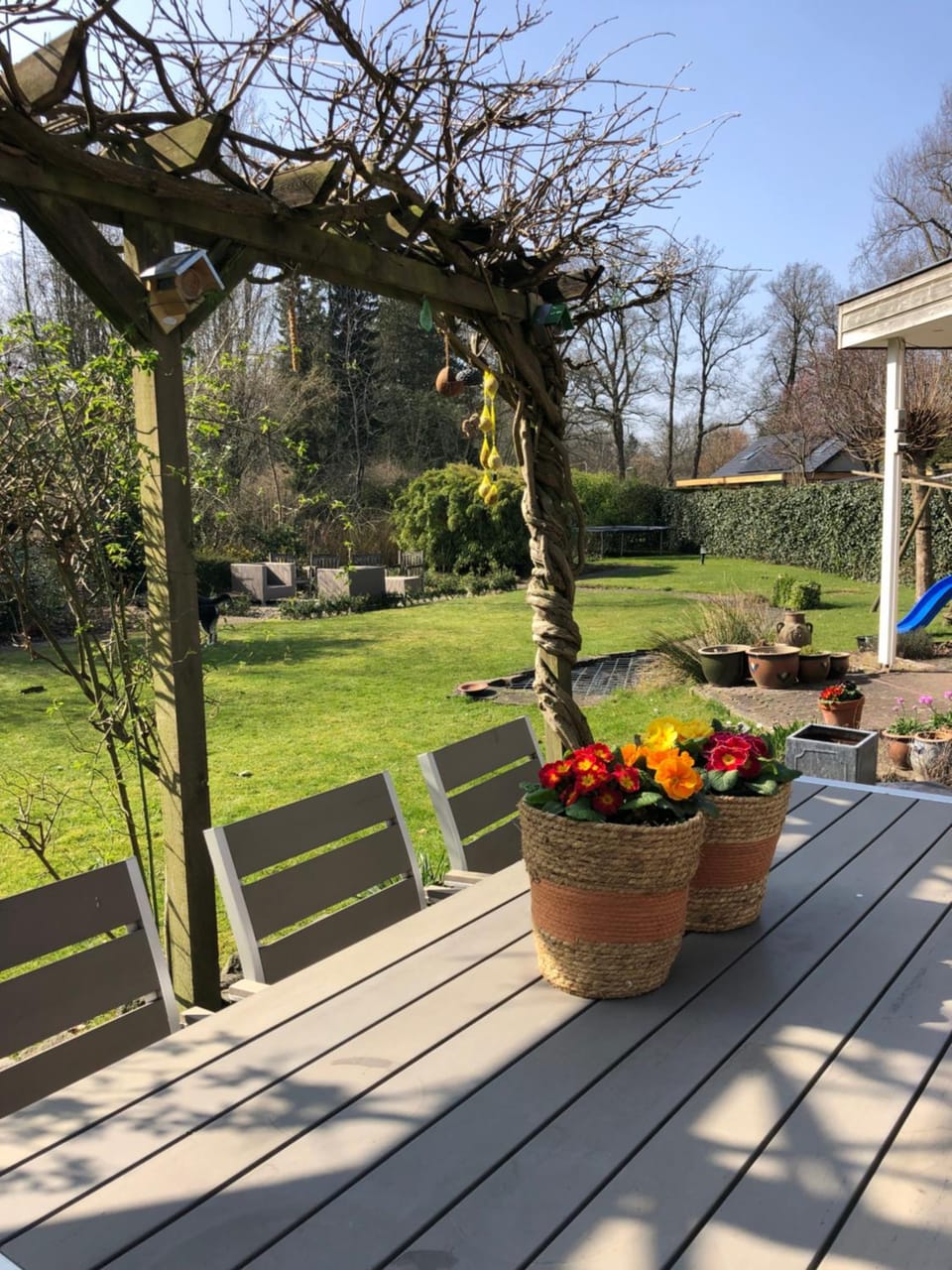 Property building, Garden, Garden view, Garden view, Breakfast
