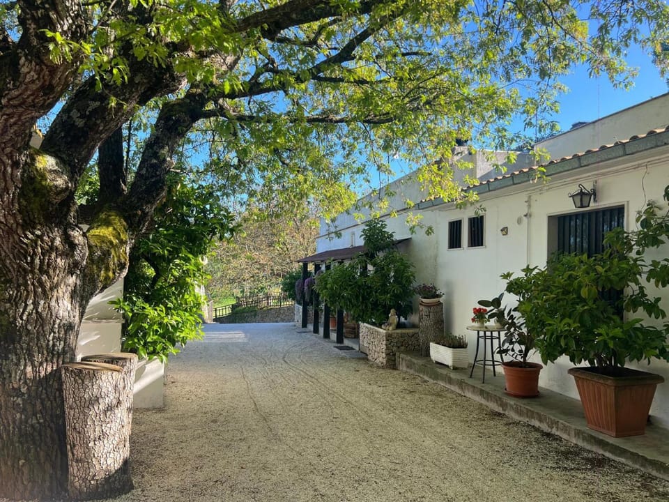Agriturismo Monte Sacro Farm Stay in Province of Foggia