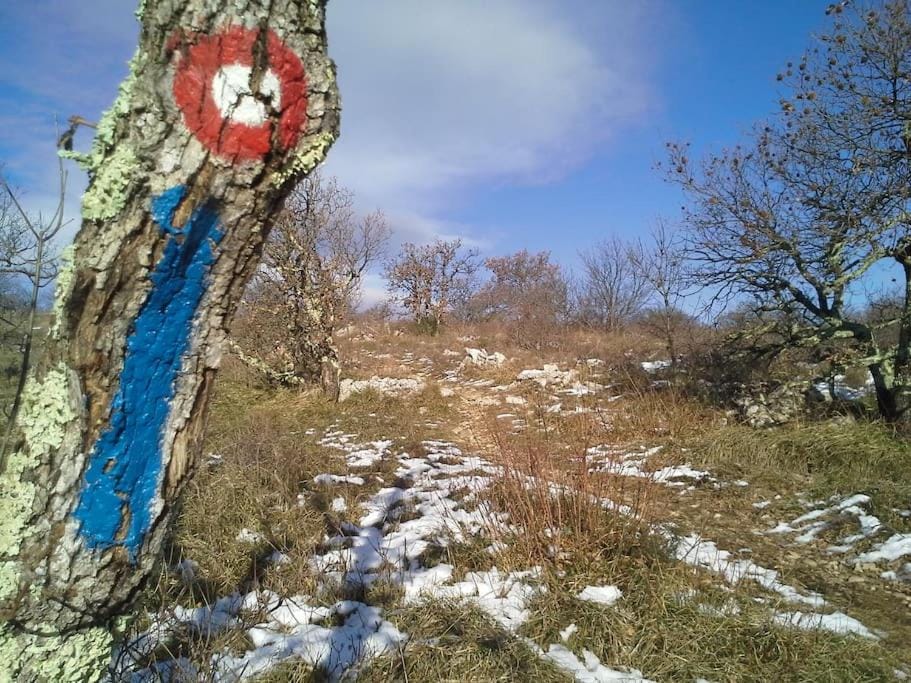 Natural landscape