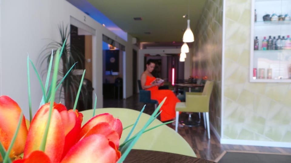 Tulipan Panzio Bed and Breakfast in Slovakia
