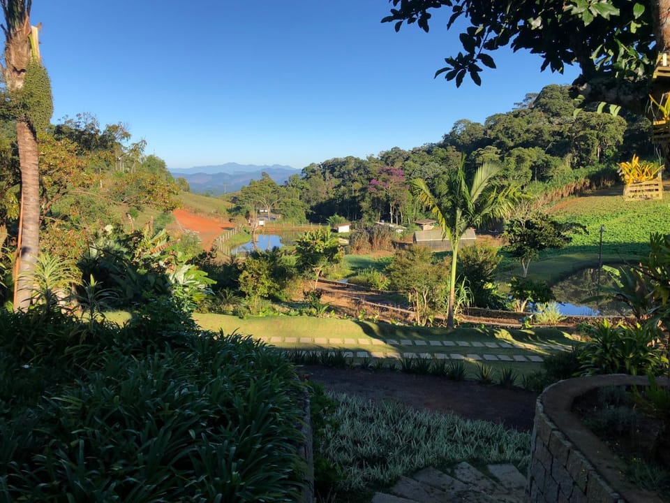 Lake view