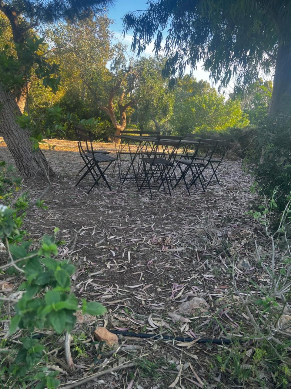 Oliví Bed and Breakfast in Province of Taranto